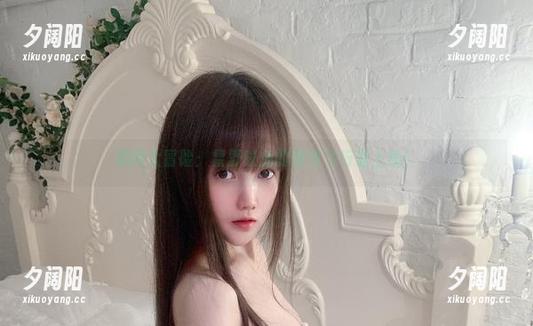 黑网大冒险：星野咪兔的图包飞行器上线！