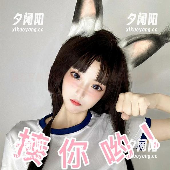 执行官的壁纸传奇，章鱼小童谣的高清漫游！